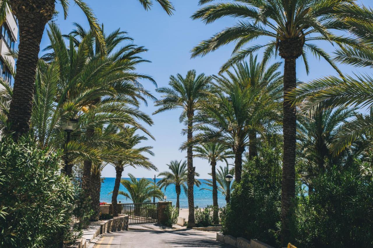 Glp Raspeig Dreamsea Apartment El Campello Exterior foto